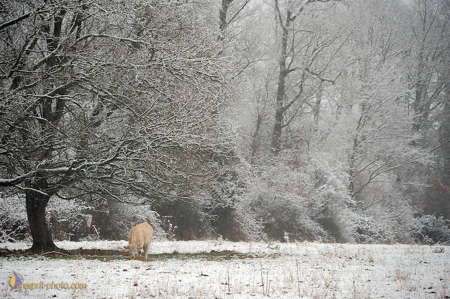 Nom de l'image : D30038028_1_(c)Norbert-JUNG — Description :